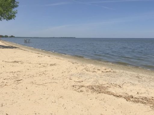 11 Michigan beaches closed due to contaminations, EGLE says