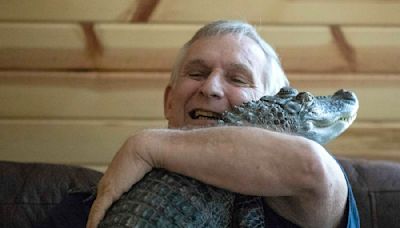 Man says his emotional support alligator, known for its big social media audience, has gone missing