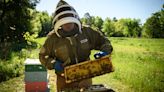 Beekeeping helped Linden Army vet recover from PTSD. Now his honey is in stores nationwide