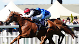 Jump at the chance to back Pogo at Glorious Goodwood