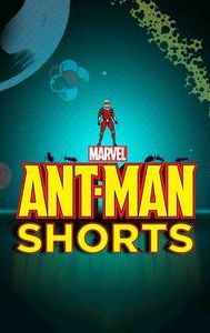 Marvel's Ant-Man Shorts