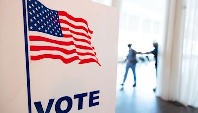 Virginia primary election: What's on the ballot?