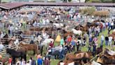 Llanera celebrará la feria de San Isidro los días 11 y 12 de mayo