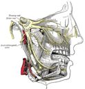 Cluster headache