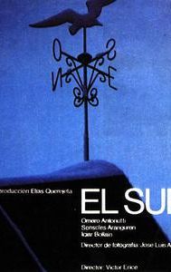 El Sur (film)