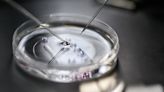 Couples allege IVF provider destroyed their embryos in toxic solution: Lawsuit