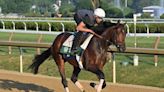 Sierra Leone Back To Work At Saratoga, Next Race Still Undecided