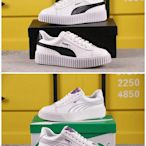 【聰哥運動館】Puma Rihanna creeper 彪馬 蕾哈娜聯名松糕鞋3644