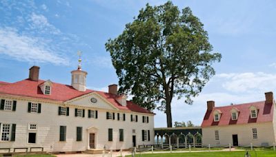 Perfectly Preserved Centuries-Old Cherries Unearthed At Mount Vernon | Talk Radio 98.3 WLAC