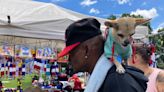 Latino heritage proudly in step at 31st Latin American Festival on Worcester Common