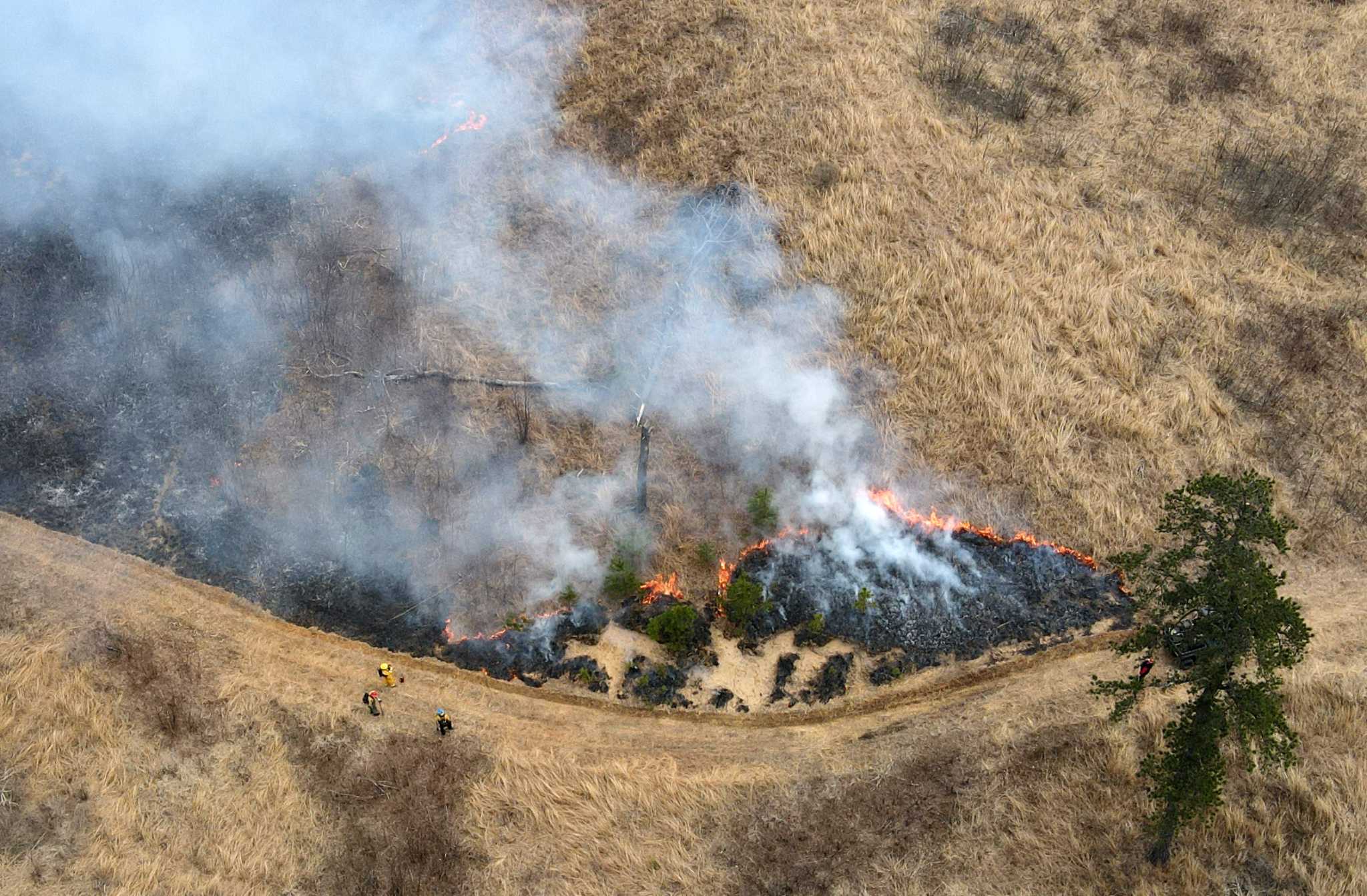 Smoke near Rapp Road landfill is prescribed burn at Albany Pine Bush