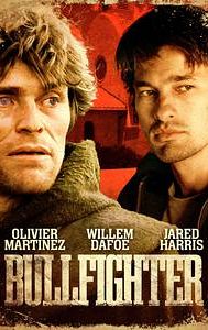 Bullfighter (film)