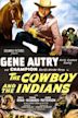 Cowboy and the Indians