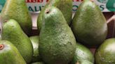 Armed highway thieves steal 40 tonnes of avocados in Mexico