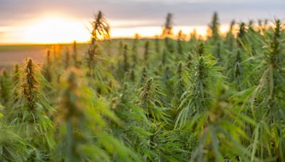 Georgia governor signs bills to regulate hemp farming, prevent foreign ownership of farmland