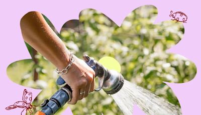 9 Money-Saving Tips to Stop Wasting Water This Summer