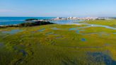 One of the last unspoiled beaches near Myrtle Beach to be saved from development