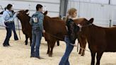 Beef Progress show set for March 30 in York