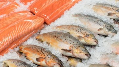 American Seafoods shelves sale plan, blames economic conditions