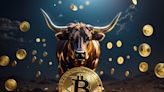 Bitcoin, Ethereum Rising: Analyst Explains Why The Next Bull Run Will Be "Crazier"?