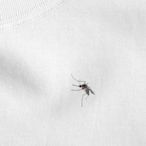 短袖純棉T恤 情侶裝 情侶對T MIT台灣製【Y0969】這是一隻假蚊子 不信你打我試試