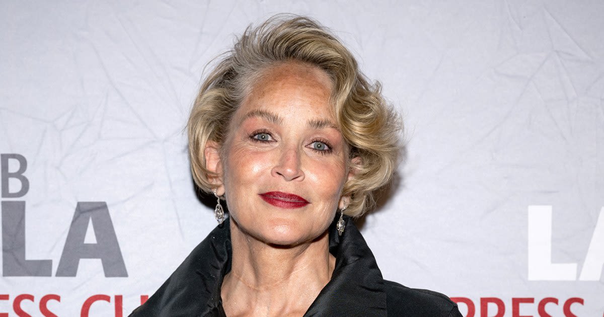 Sharon Stone Says She Lost $18 Million of Her Savings After Suffering a Stroke in 2001