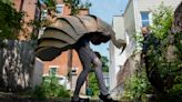 Think cicadas are weird? Check out superfans, who eat the bugs, use them in art and even striptease - ABC Columbia