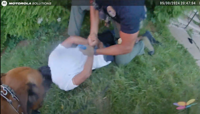 'Alarming' video shows Canton police dog attacking man during arrest, officer on leave