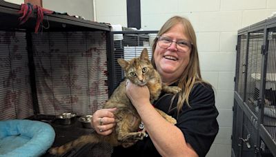 ‘You definitely need a good-sized litter box’: Furry Friends adopt-a-thon now on in south Barrie