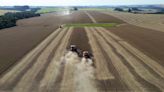 Southern Brazil reaps record soy to offset center-west crop failure