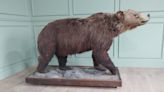 A bear on wheels and gilt-edged opportunities among items up for auction