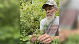 Wisconsin rare plant found, 100 years since it was last seen