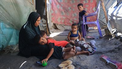 ‘La campaña de hambruna selectiva en Gaza es violencia genocida’