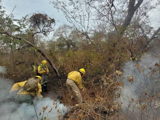 Defensa Civil reporta 10.424 focos de calor en el oriente - El Diario - Bolivia