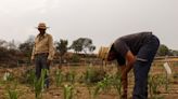 ¿Qué son El Niño, La Niña y cómo afectan a México?