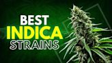 Indica Strains: Best Indica Seeds to Cultivate in 2024