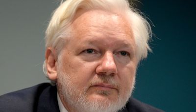 Julian Assange afirmó que está libre porque se declaró culpable de "hacer periodismo" - El Diario NY