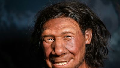 Los neandertales no se mezclaban y quizás eso explica su desaparición