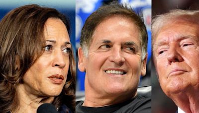 Mark Cuban says the 2024 election is coming down to Ivy League insiders versus outsiders