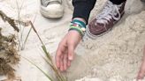 200 Gulf Shores students hit the beach to do good for sand dunes