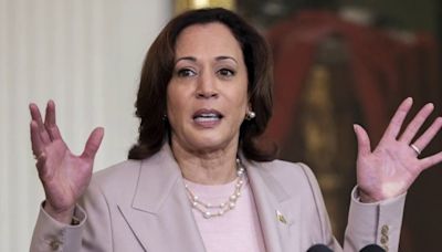 ‘MAGA world in MEGA-meltdown mode’: Republicans resort to ugly attacks against VP Kamala Harris