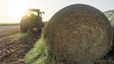 Rainfall setting up favorable Texas hay prospects