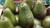 Avocados getting smashed by climate change, report warns