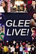 Glee the Concert Movie