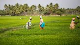 Indian banks may have an agri loan problem ahead