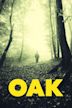 Oak | Horror