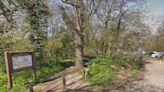 Teenager stabbed to death in daylight attack in Jubilee Country Park in Petts Wood, south east London