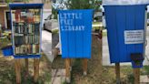 A Middleburg man built a little library to share free books with his neighbors. Then he was sued by his HOA