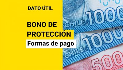 Bono de Protección: Así se paga el beneficio para dueñas de casa que se entrega por dos años