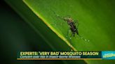 What's Da Scoops: Experts says it'll be a very bad mosquito season